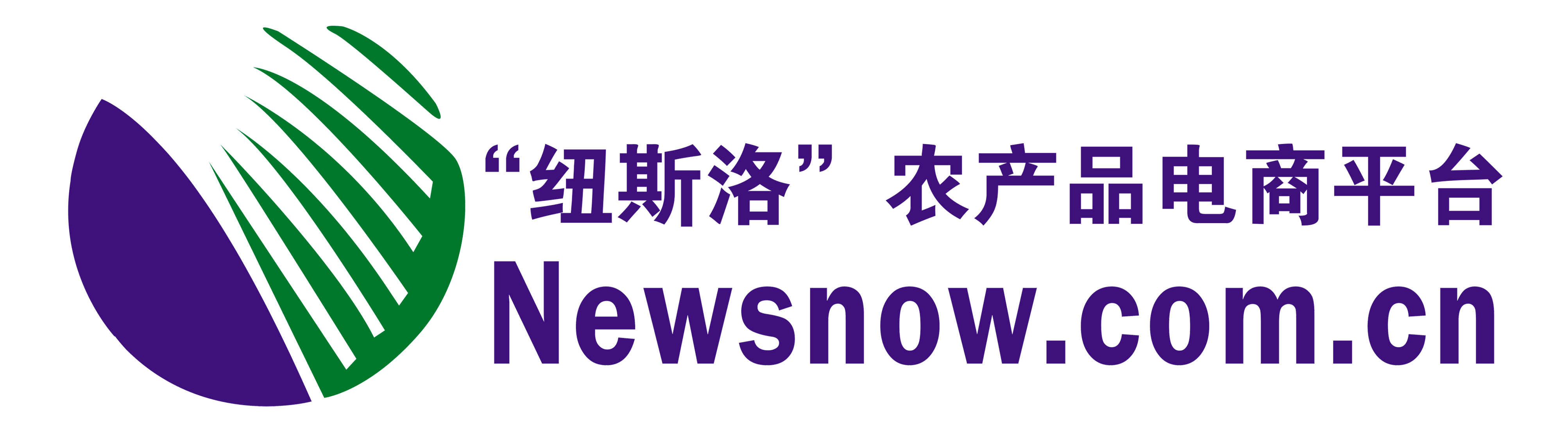 newsnow-logo.gif