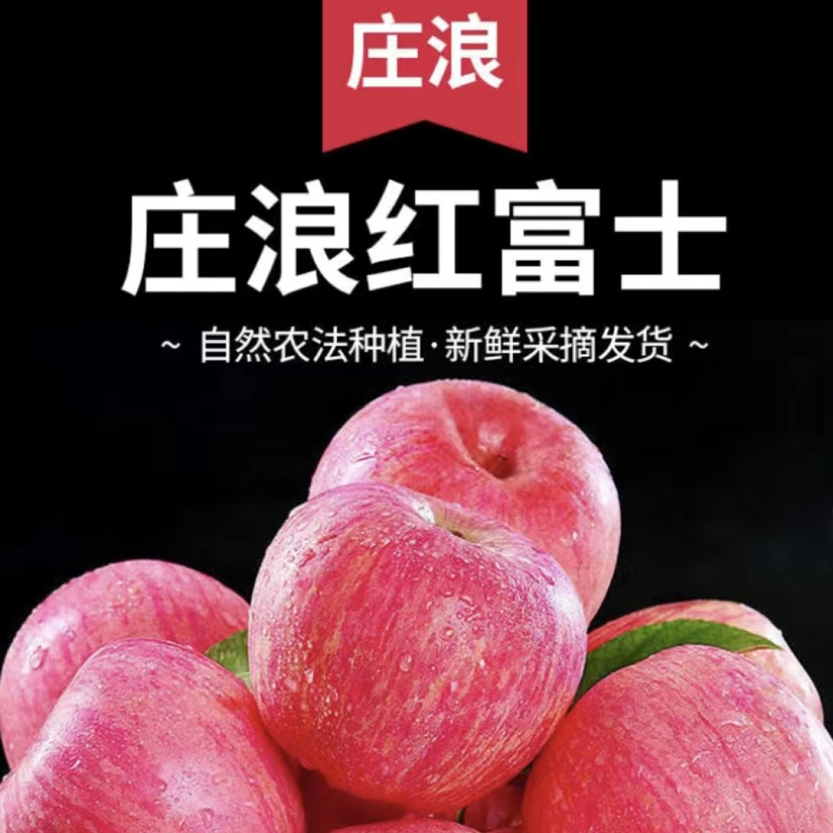 2021陕西延安宜川壶口高原特产红富士苹果食用新鲜90果18颗包邮_薛晓龙7675