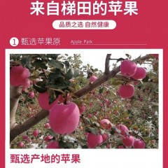 甘肃庄浪红富士苹果（10斤装）