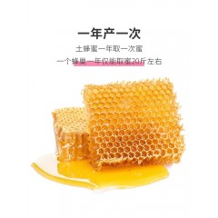 产地蜂蜜特色二件套（土蜂蜜500g、黄芪蜜 500g各一瓶共两瓶）共1000g