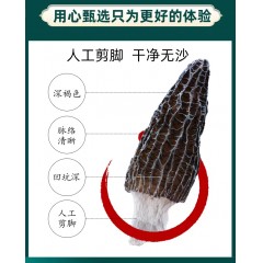 高原品质一号羊肚菌5cm-8cm【200g】
