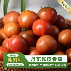 辽宁·丹东丹东铁皮柿子(净重5斤装（单果1两以上）)