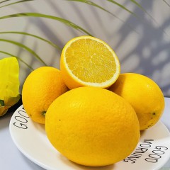 福建漳州木瓜蜜丁橙(7斤)
