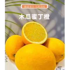 福建漳州木瓜蜜丁橙(7斤)