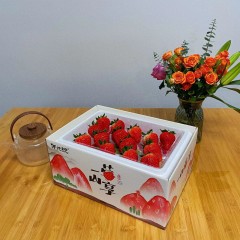 "辽宁·丹东丹东99草莓(2.8斤大果          单果重30－35g)"