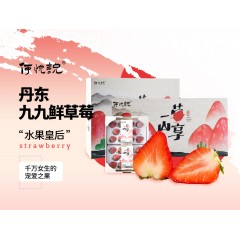 "辽宁·丹东丹东99草莓(2.8斤大果          单果重30－35g)"