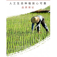悯农农夫香米（珍珠）10kg/袋