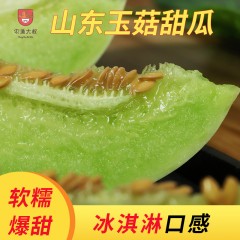 山东玉菇甜瓜(普通箱4.5斤-5斤)