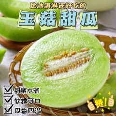 山东玉菇甜瓜(普通箱4.5斤-5斤)