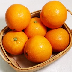 湖北秭归伦晚春橙4.5斤(中果、大果随意选)