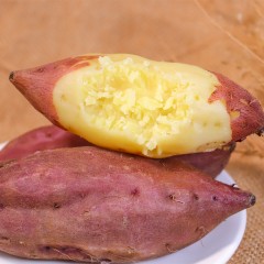 海南早安鲜薯拇指金时宝宝红薯(五斤单果60g+)