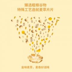金味营养麦片(420g*2袋)