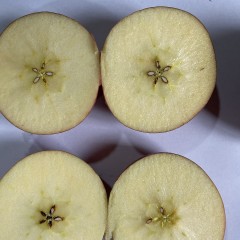 云南高原苹果（精品果）约9斤 80-85mm