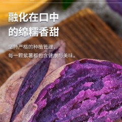 山姆同款·海南芋香紫薯 5斤装净重(单果200~380克)-普通包装