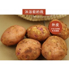 云南红皮土豆 2 种规格任意选
