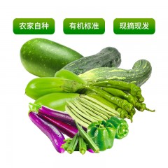 17_日常版蔬菜组合（北京平谷蔬菜）