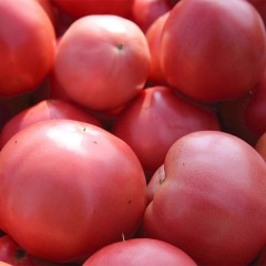 平谷沙瓤西红柿5斤、10斤随意选