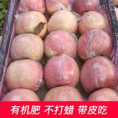 【 特特特惠】山西万荣苹果（9.5斤左右）2箱-10箱随意选