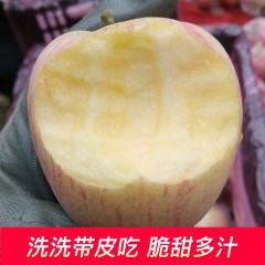 【 特特特惠】山西万荣苹果（9.5斤左右）2箱-10箱随意选