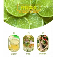 S3_越南无籽柠檬产自广西(1.8-2斤)