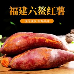 11_2021年新种的六鳌红薯（大果2.5kg）（5斤/箱）