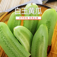 18_烟台海阳 白玉黄瓜（2.5kg）5斤/箱