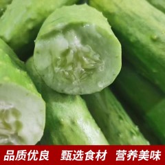 18_烟台海阳 白玉黄瓜（2.5kg）5斤/箱
