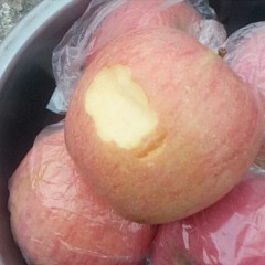 山西万荣苹果6个小苹果品尝福利包（老用户福利）