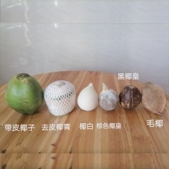 S6_各种海南椰子（去皮椰青、带皮椰青、毛椰、牛奶椰皇、黑壳牛奶椰皇随意选）
