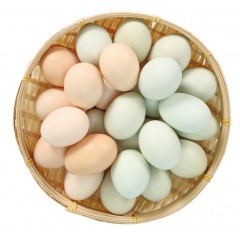 S9_黄壳谷物鸡蛋&绿壳蛋（20枚、30枚、40枚随意选)