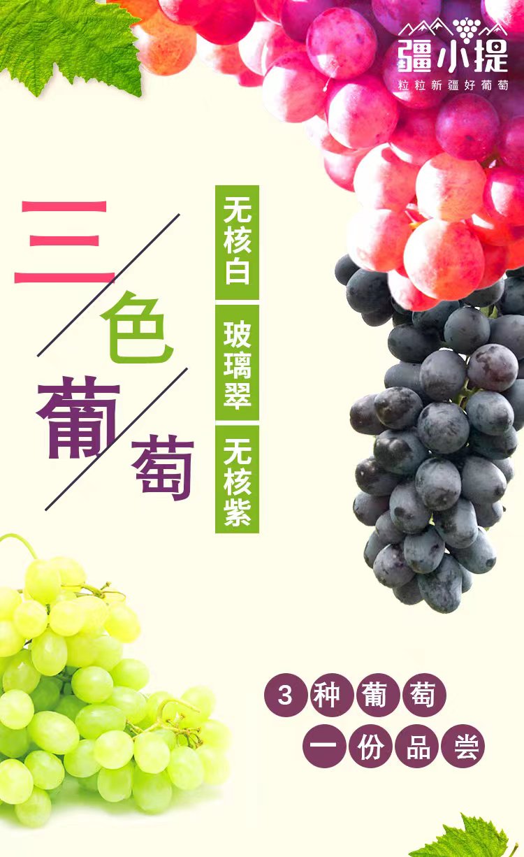 新疆三色葡萄