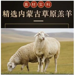 内蒙古精选草原羔卷羊肉、羊蝎子（羊龙骨）、羊排骨、羊后腿肉包 5~20斤（随意选）