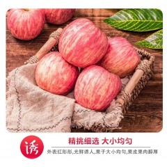 甘肃临夏永靖冰糖心红富士苹果 18枚装 （颗颗80mm以上果）