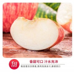 甘肃临夏永靖冰糖心红富士苹果 18枚装 （颗颗80mm以上果）