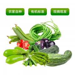 北京平谷新鲜蔬菜组合（1+2）11斤装（菜地现摘现发）