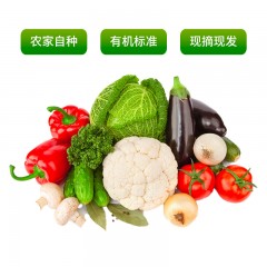 北京平谷新鲜应季蔬菜组合 现摘现发一月共64斤  8次送完（每周一周五送货）