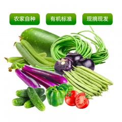 北京平谷新鲜蔬菜组合（1+3）11斤装（菜地现摘现发）