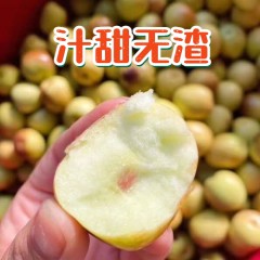 59_大荔温室冬枣（大果装3斤）