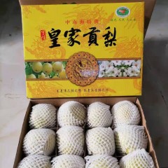 68_河南宁陵酥梨（净重5斤）