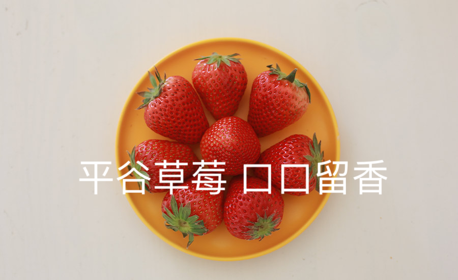 平谷草莓 .png